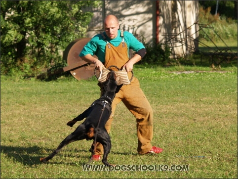 Training camp - Lukova 2007